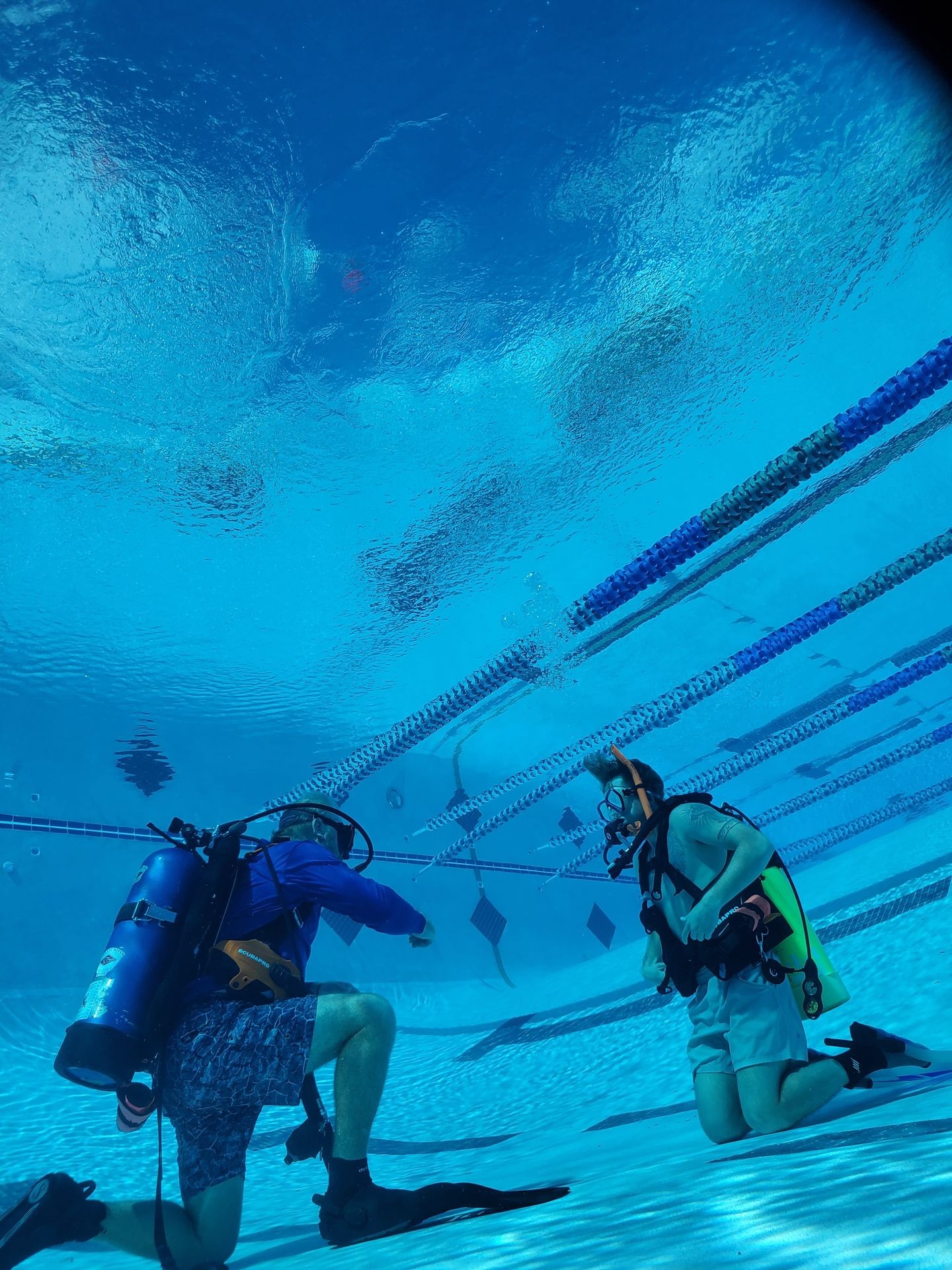 Two scuba divers kneeling underwater in a swimming pool with lanes and scuba gear.