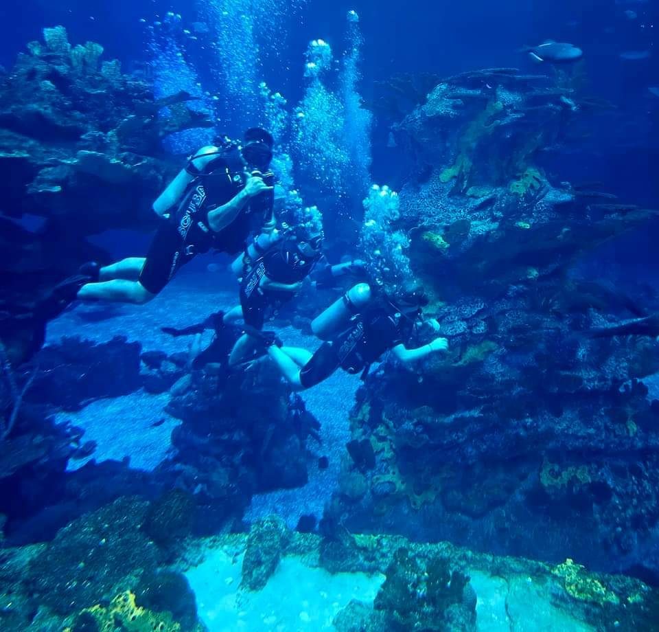 Three scuba divers exploring an underwater reef with coral formations and marine life.