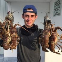 Person holding up several large lobsters, smiling in an outdoor setting.