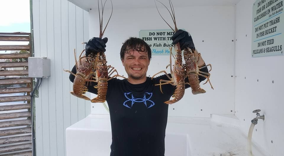 Person holding two lobsters with gloved hands at a seafood cleaning station.