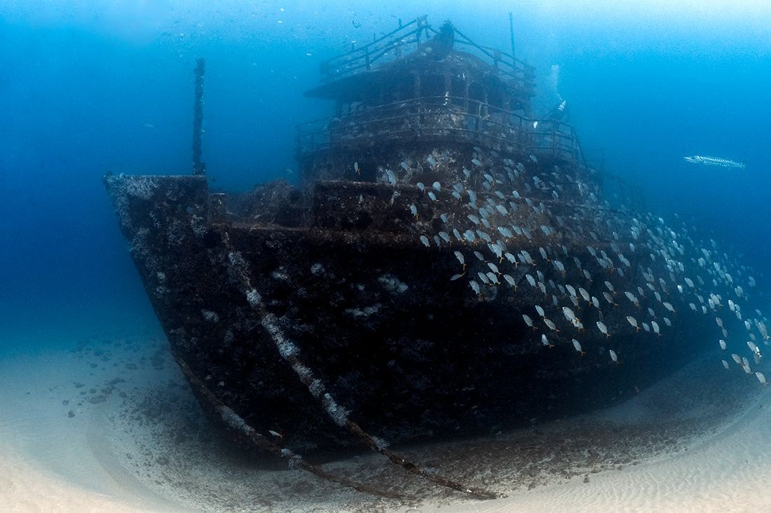 Underwater shipwreck covered in coral and surrounded by fish on sandy ocean floor.