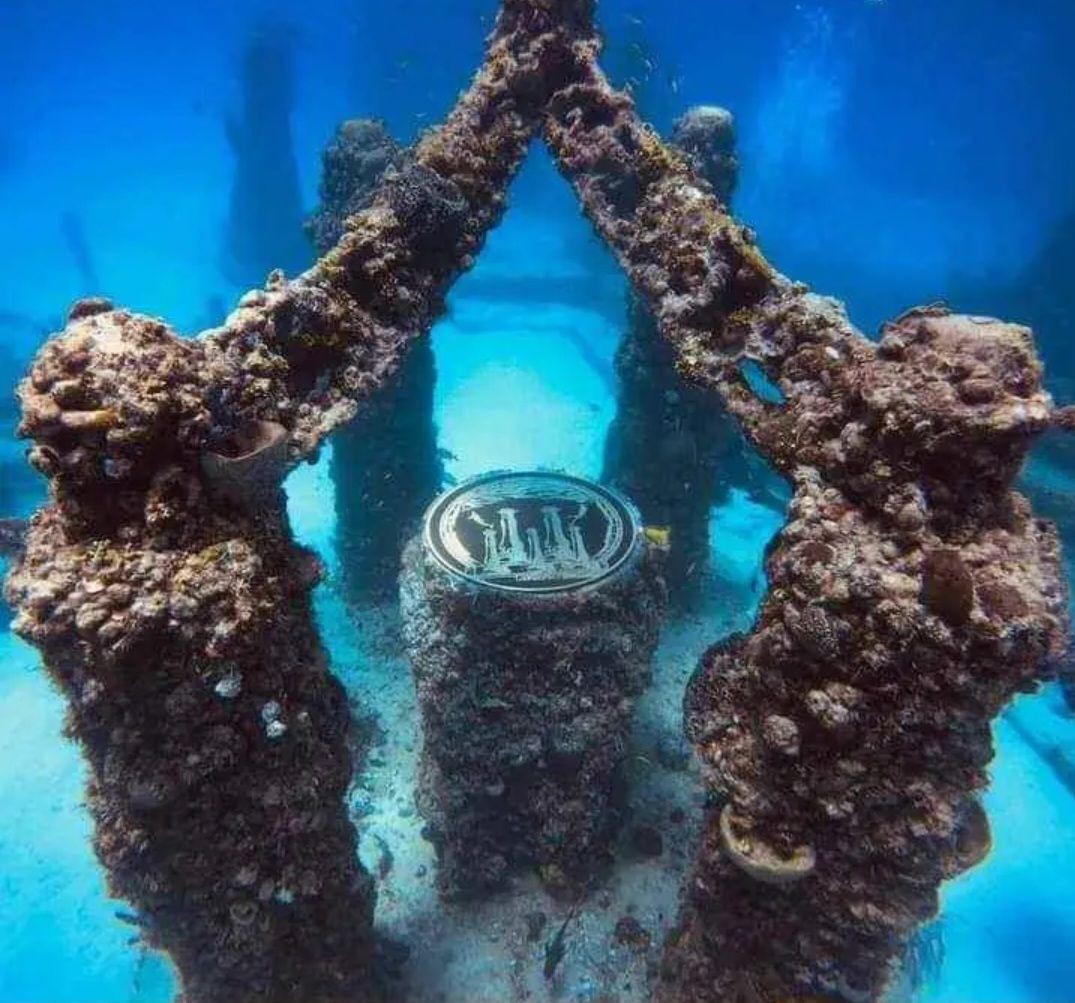 Neptune Memorial Reef Dive site with Weekly Diver