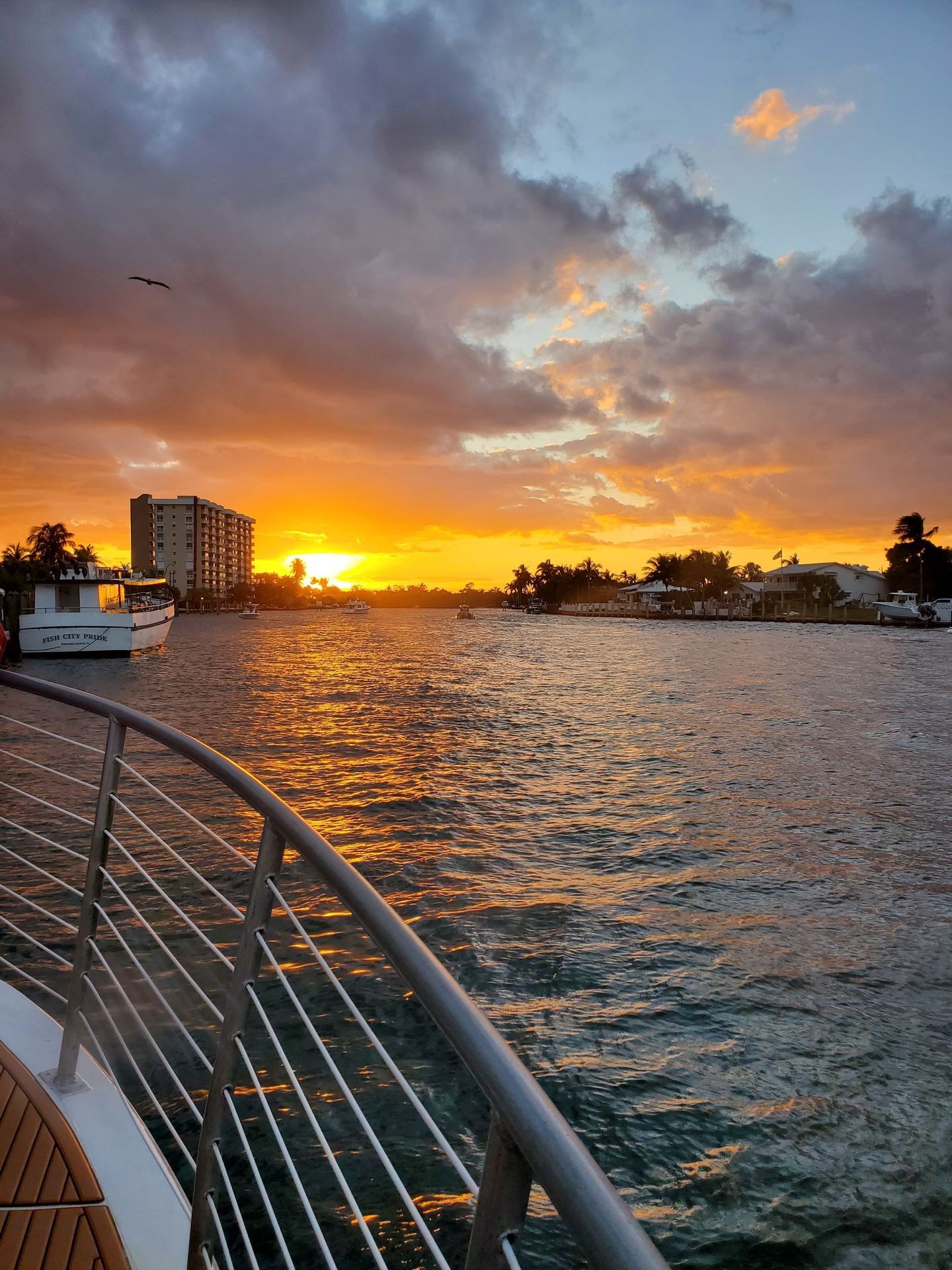 Sunset view over a waterfront with boats, buildings, and a bird flying under dramatic clouds.