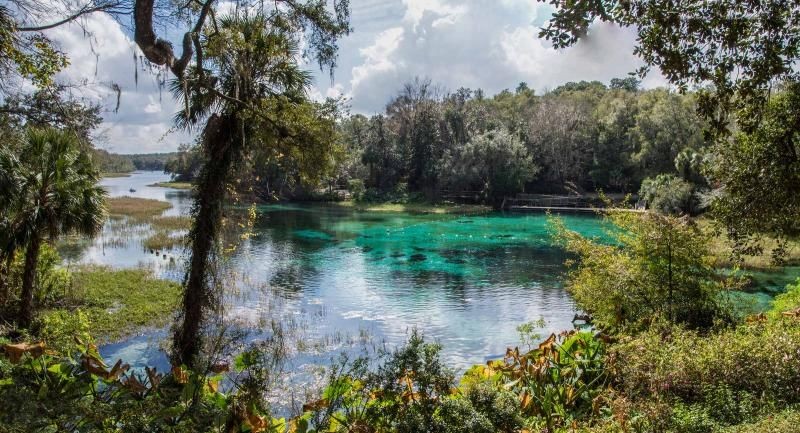 Scenic view of a turquoise spring surrounded by lush greenery and trees under a cloudy sky.