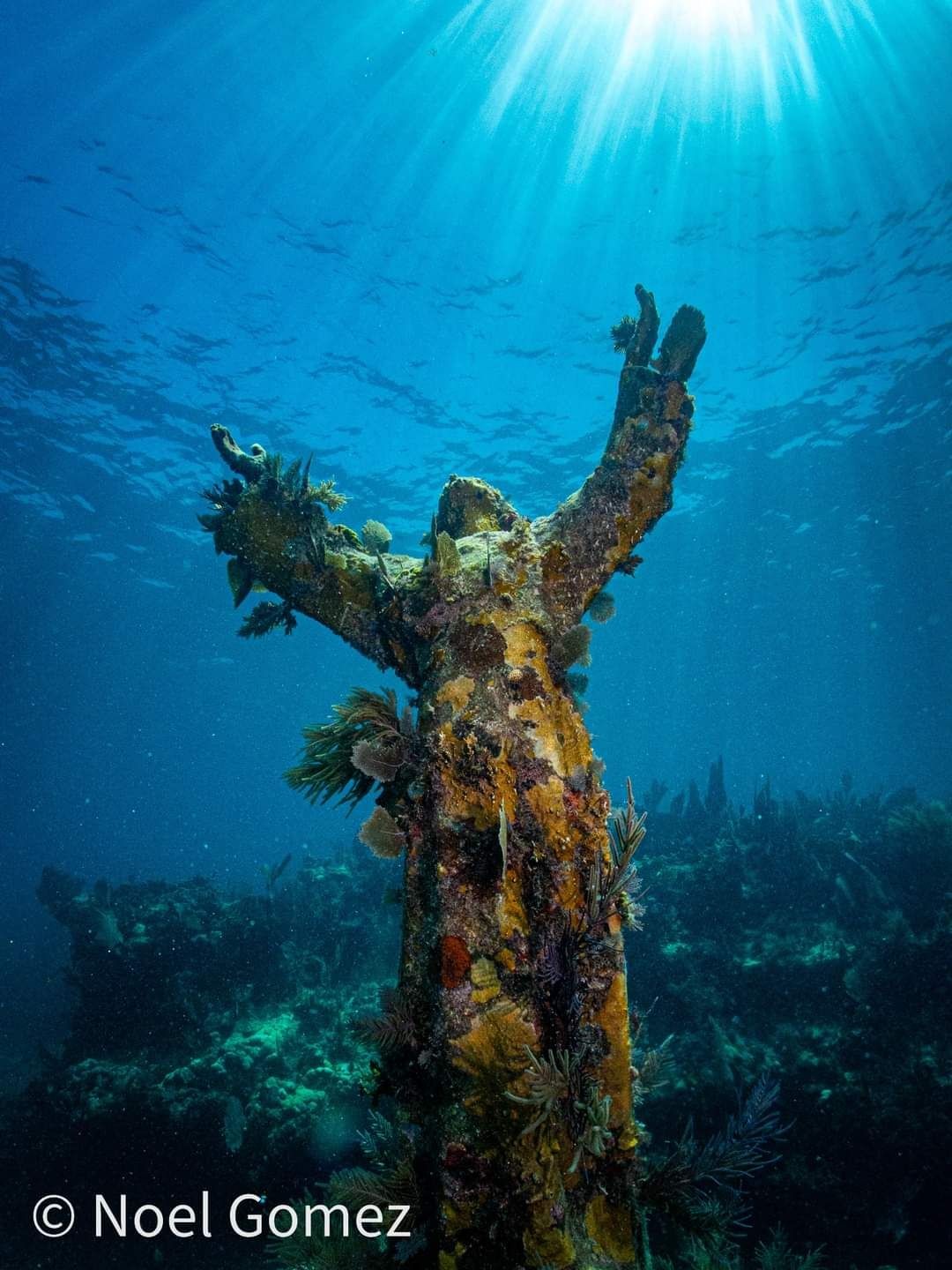 Submerged statue covered in marine growth under ocean sunlight.