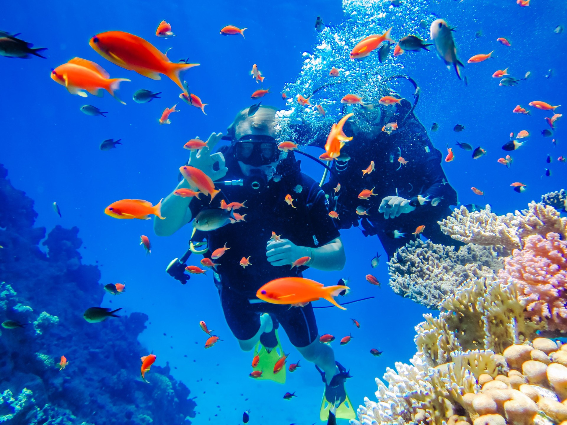 Active rest. Diving at the coral reefs