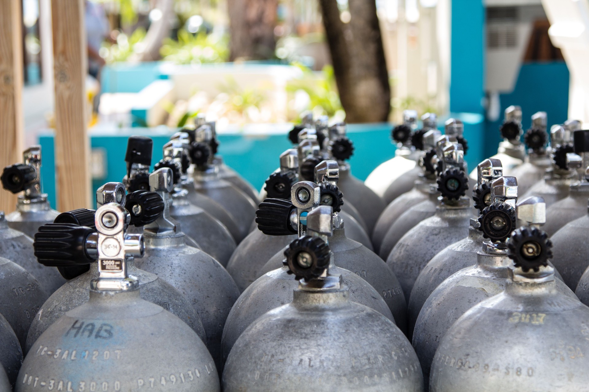 Aluminium diving tanks filled with compressed air lined up and waiting for their deployment on the beautiful reef of the caribbean island Bonaire