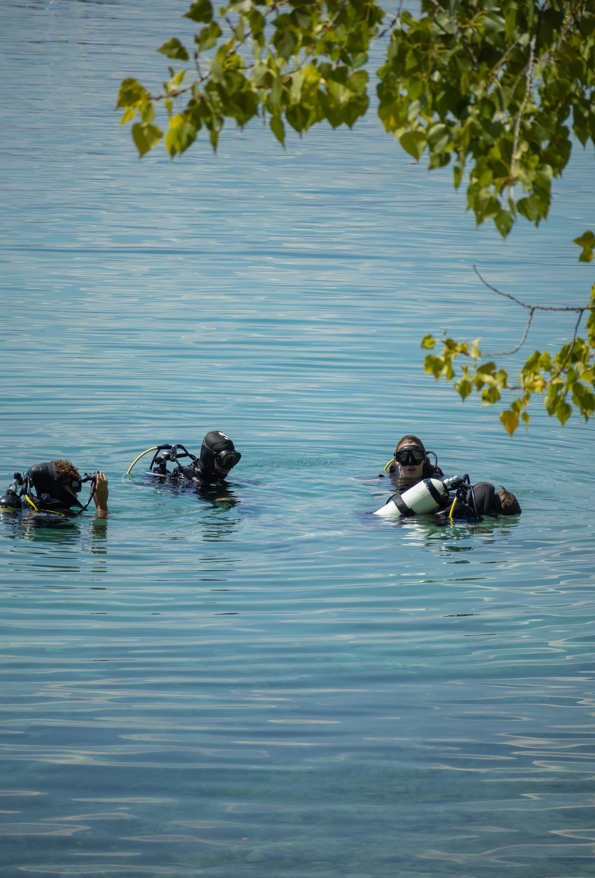 divers in black scuba diving suits, man and a woman with oxygen bottles sink under the transparent blue water in the Ohrid lake.